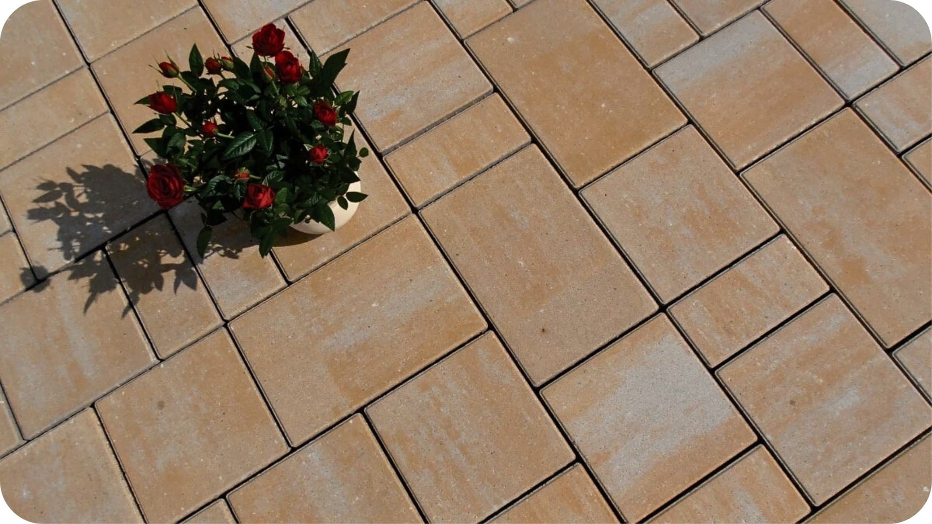 Behaton Rentango Sahara